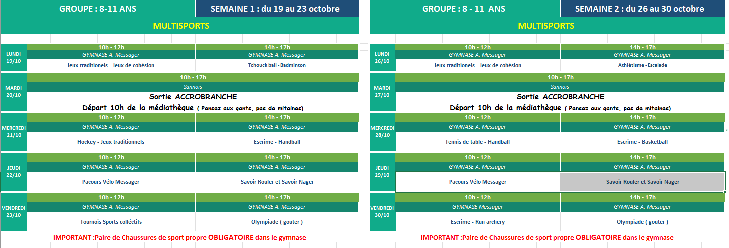 Ouverture inscriptions pour stage de la Toussaint et planning d'act...